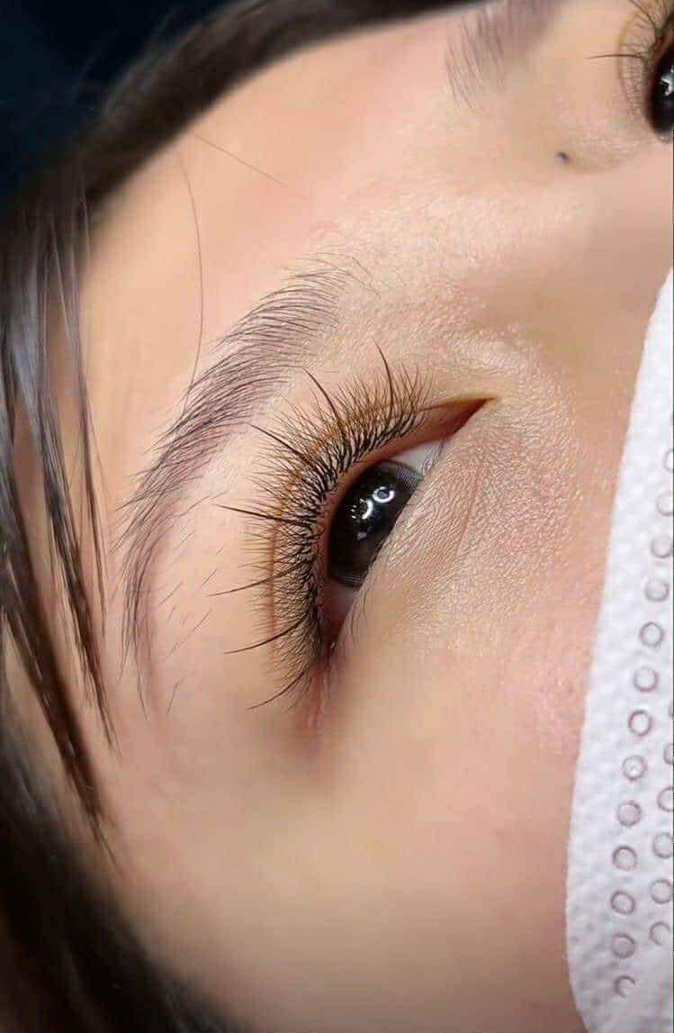 Brown Premade Wet Spike - 5D Closed Tip Spike For Professional Eyelash Extensions