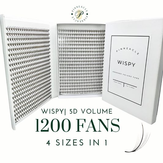 XXL Box | Wispy 1200 Fans | 5D volume | 40 Lines |4 sizes in 1 | Wispy premade volume fans