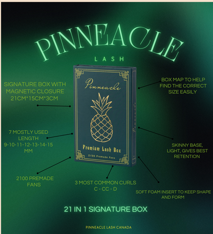 2100 Fans | 21 sizes in 1 | 8D volume | 7 lengths from 9-15mm |  3 curls : C, CC & D |