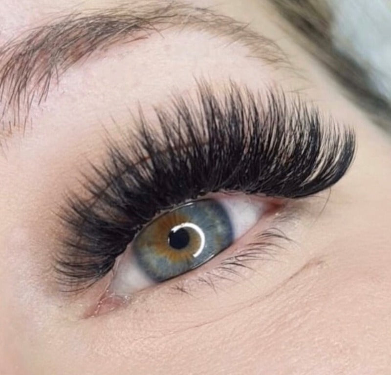 12D Volume | 1200 Premade Volume Fans - 8 sizes in 1 box | Lengths : 9-16mm | Round Box