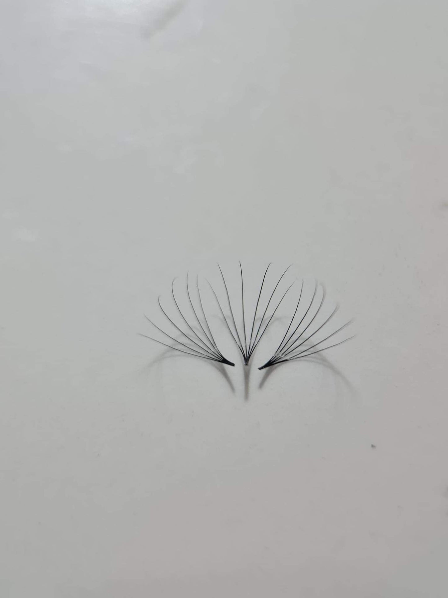 6D Volume | 1200 Fans | 8 sizes in 1 | 9-16mm | Premade Volume Fans