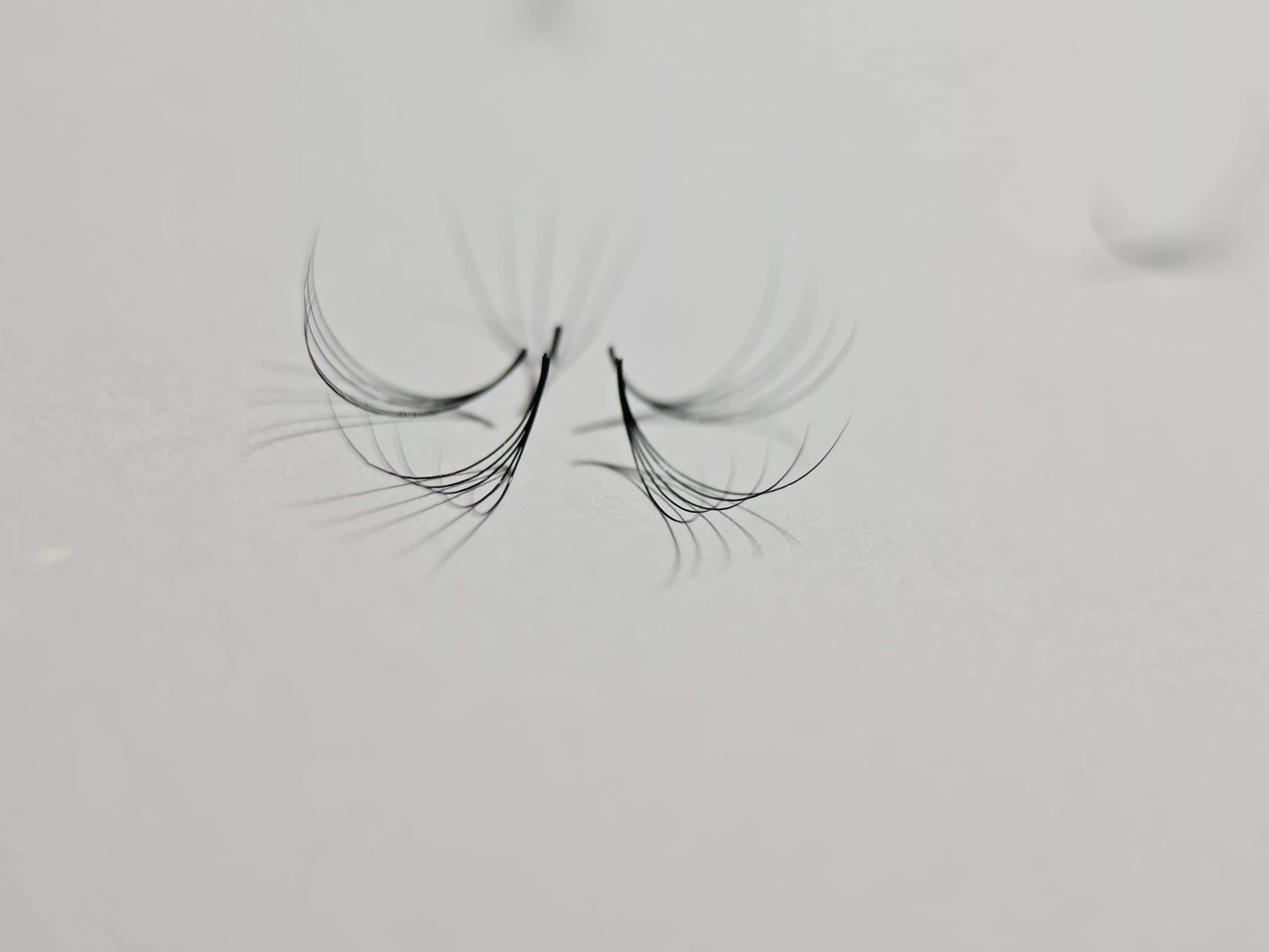 6D Volume | 1200 Fans | 8 sizes in 1 | 9-16mm | Premade Volume Fans