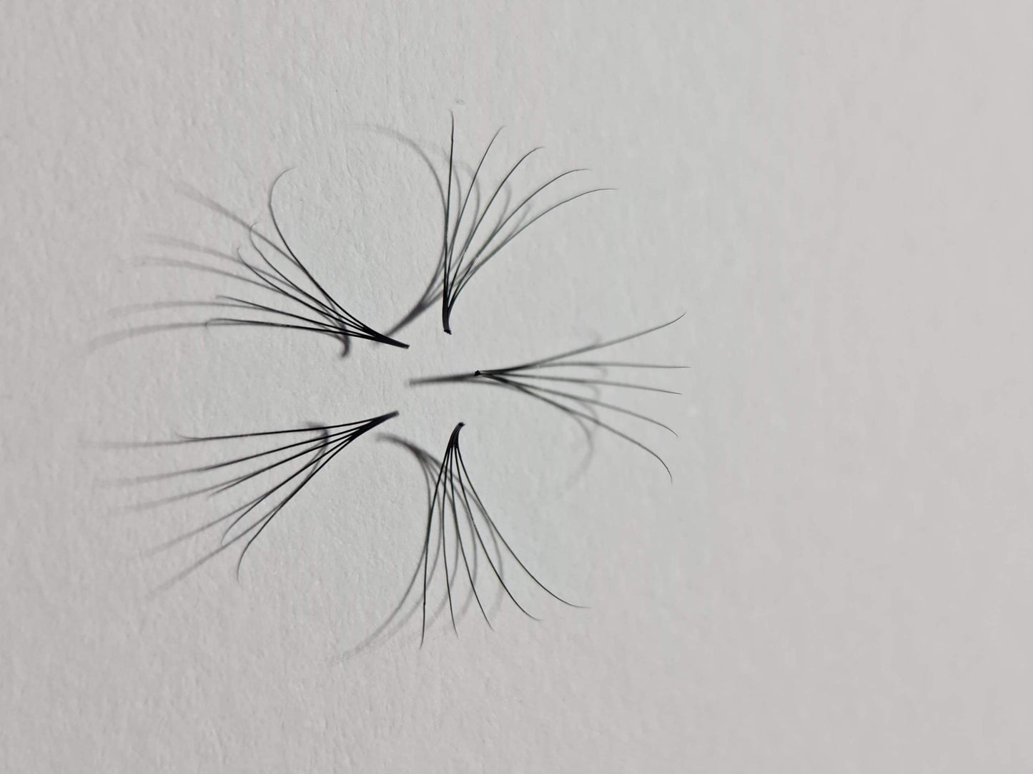 6D Volume | 1200 Fans | 8 sizes in 1 | 9-16mm | Premade Volume Fans