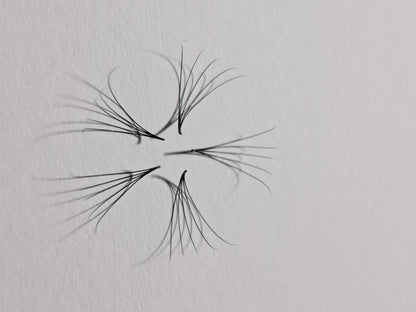 6D Volume | 1200 Fans | 8 sizes in 1 | 9-16mm | Premade Volume Fans