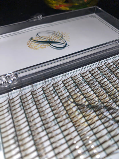 Brown Premade Wet Spike - 5D Closed Tip Spike For Professional Eyelash Extensions