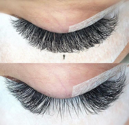 6D Volume | 1200 Fans | 8 sizes in 1 | 9-16mm | Premade Volume Fans