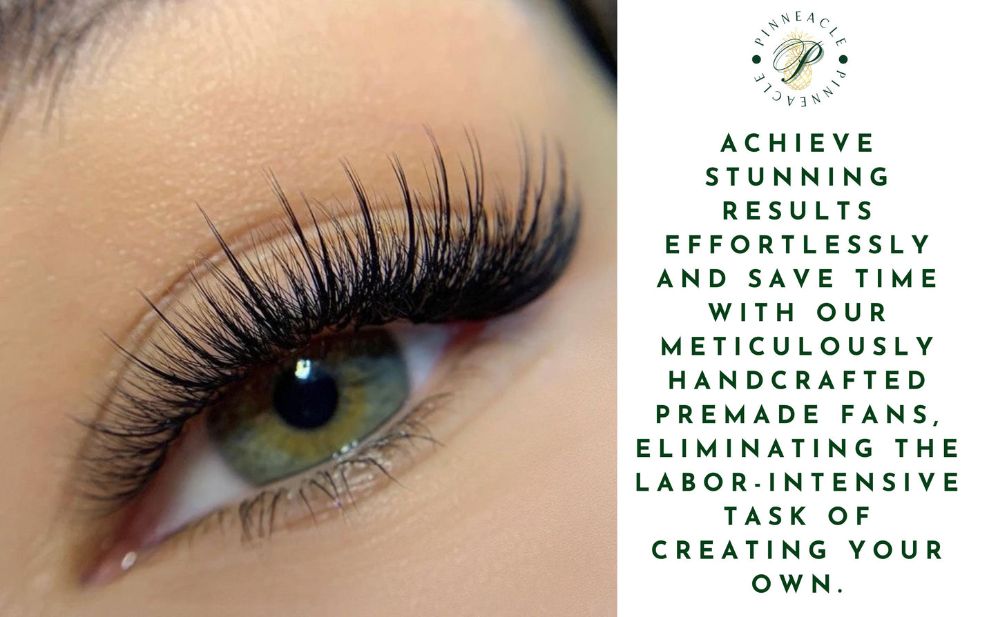 Wispy 500 Fans | 5D volume | C curl | 17mm (spike 19mm)