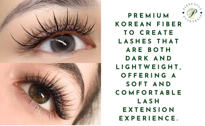 Wispy 500 Fans | 5D volume | C curl | 12mm (spike 14mm)