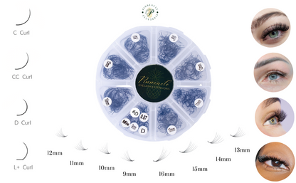 6D Volume | 1200 Fans | 8 sizes in 1 | 9-16mm | Premade Volume Fans