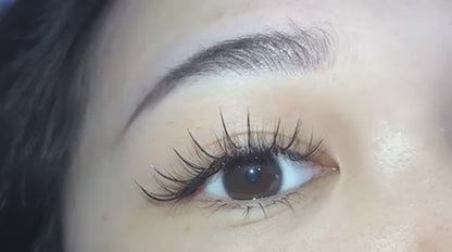 Wispy 500 Fans | 5D volume | C curl | 17mm (spike 19mm)