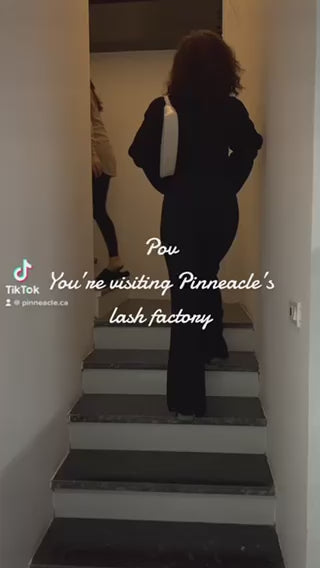 Wispy 500 Fans | 5D volume | C curl | 17mm (spike 19mm)